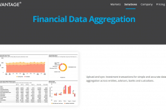 Asset Vantage -Wealth Management for Family Office
